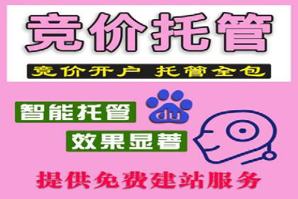 360信息流广告投放技巧与成功案例解析