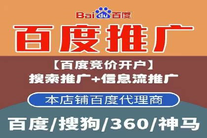 竞价推广实战：案例分析行业领军企业的成功之道